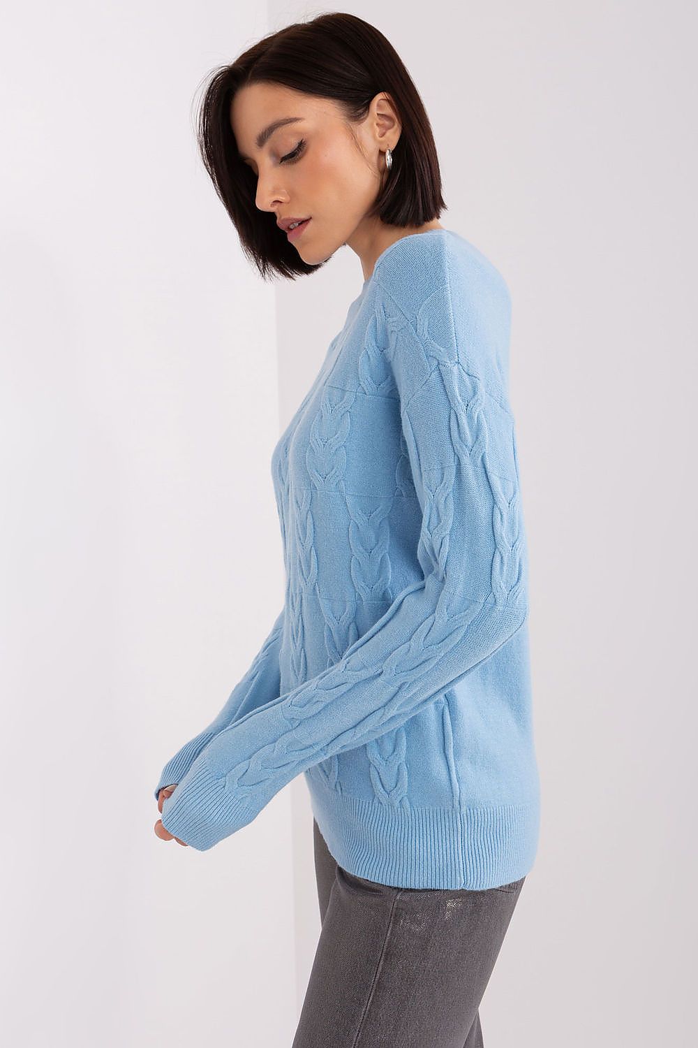  Maglione model 208301 AT 
