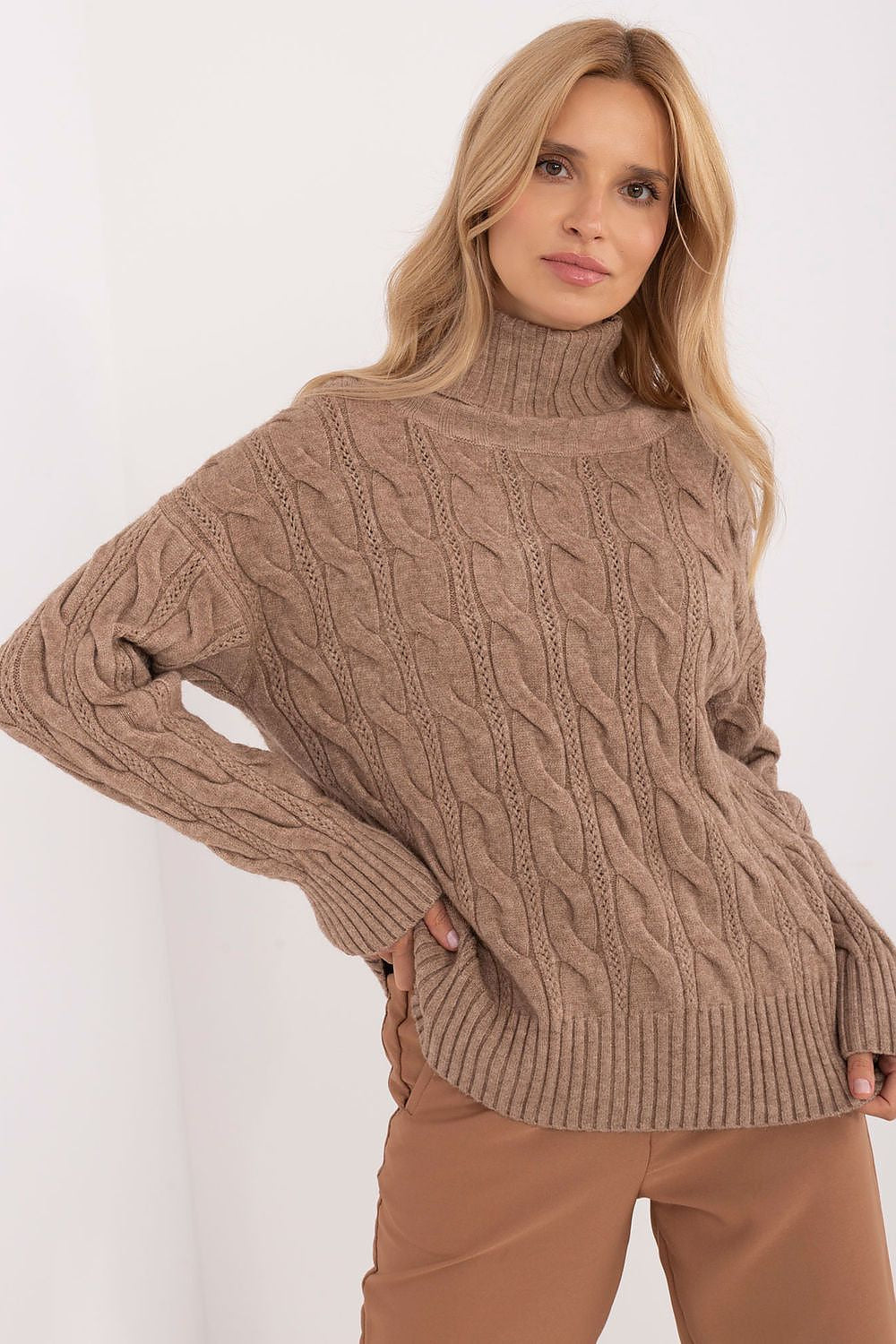 Beige 2 / Universale Maglione con collo alto da donna