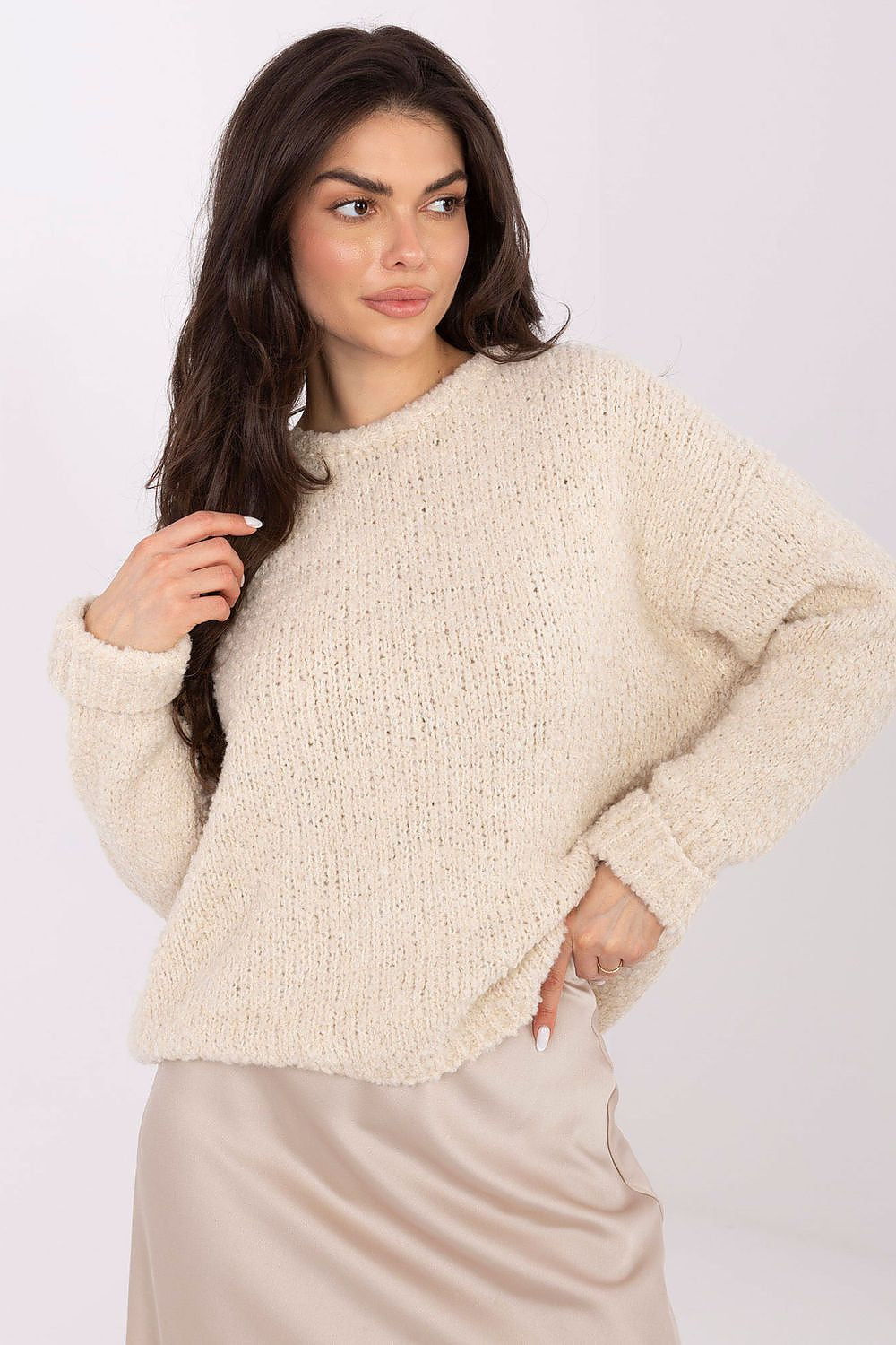 Beige / Universale Maglione in misto lana da donna - 223174